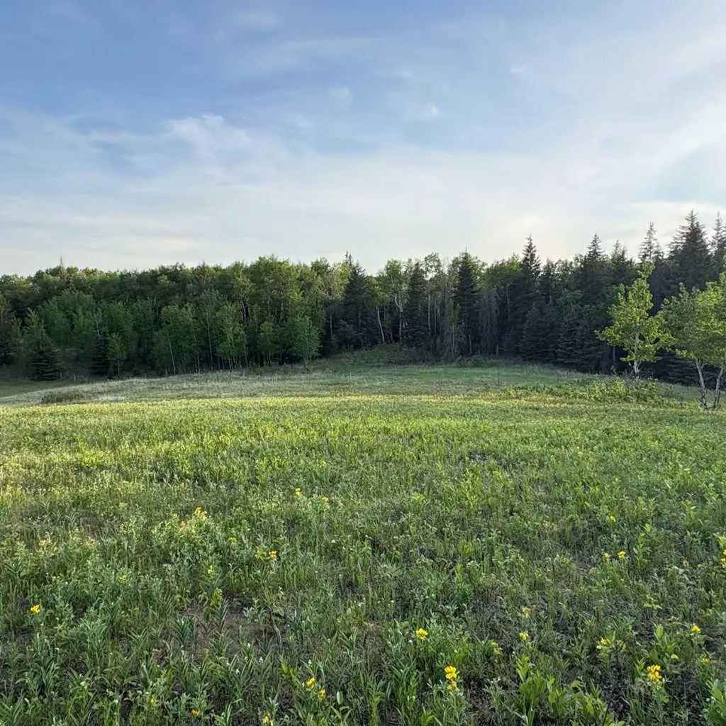 2168 587 Highway Bowden AB T0M 0K0