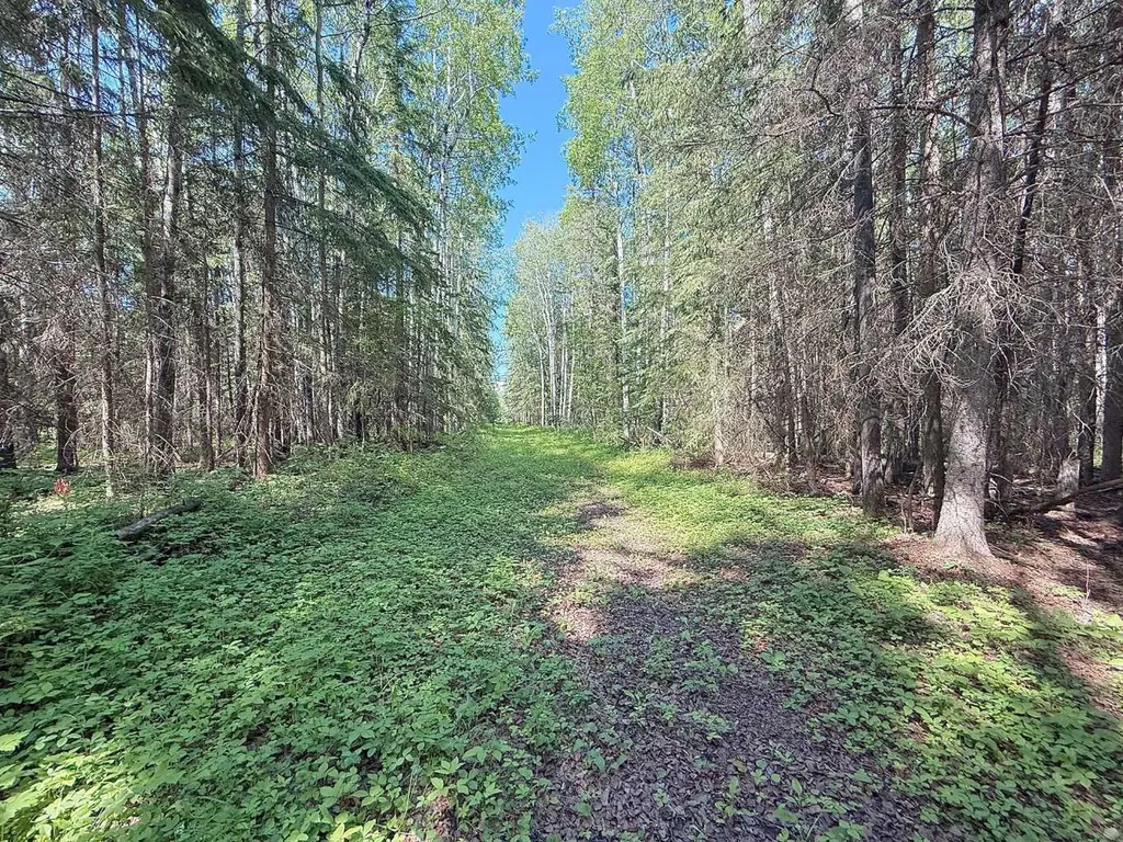 224060 Township Road 680 Rural Athabasca County AB T9S 2A2