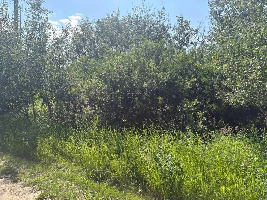 50528 Range Road Rural Minburn No. 27 County Of AB T0B 2G0