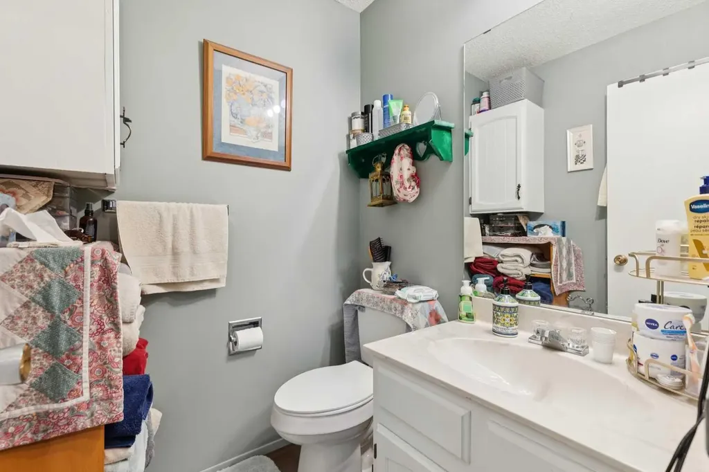102 Thorson Crescent Okotoks AB T1S 1C8
