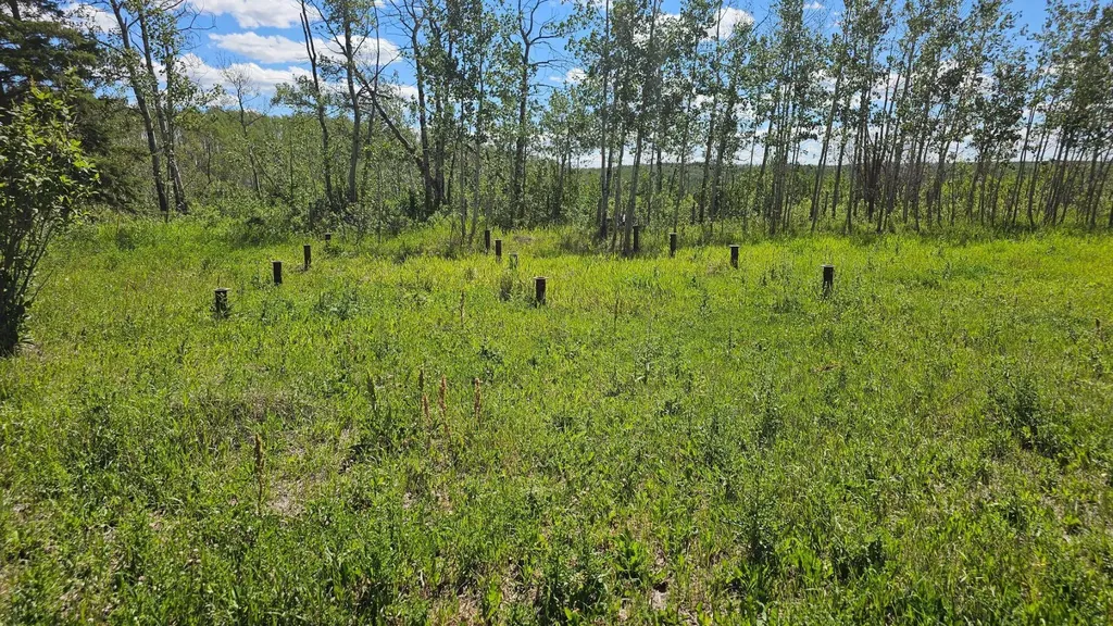 81154 124 Range Rural Saddle Hills County AB T0H 0A1