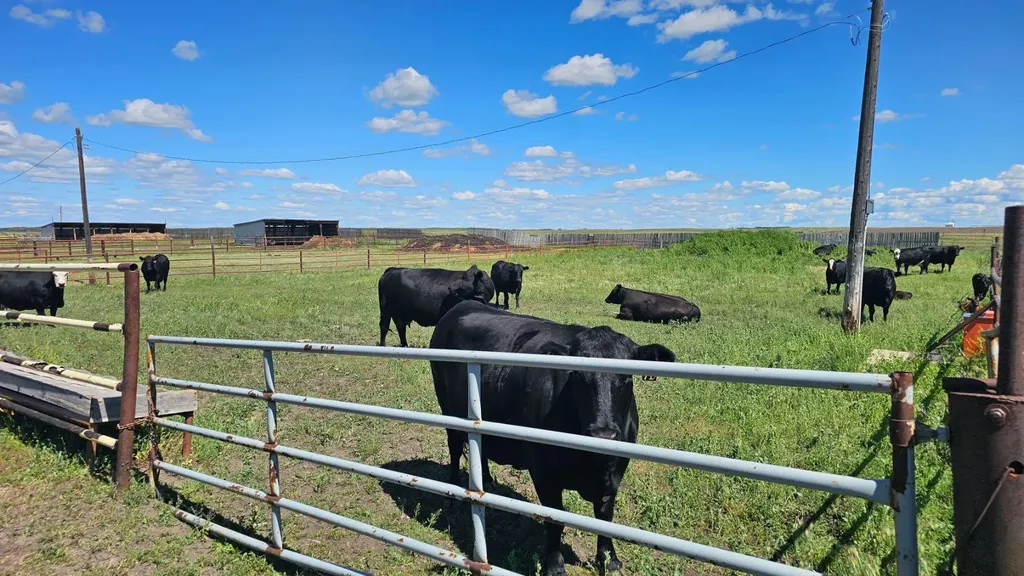 81154 124 Range Rural Saddle Hills County AB T0H 0A1