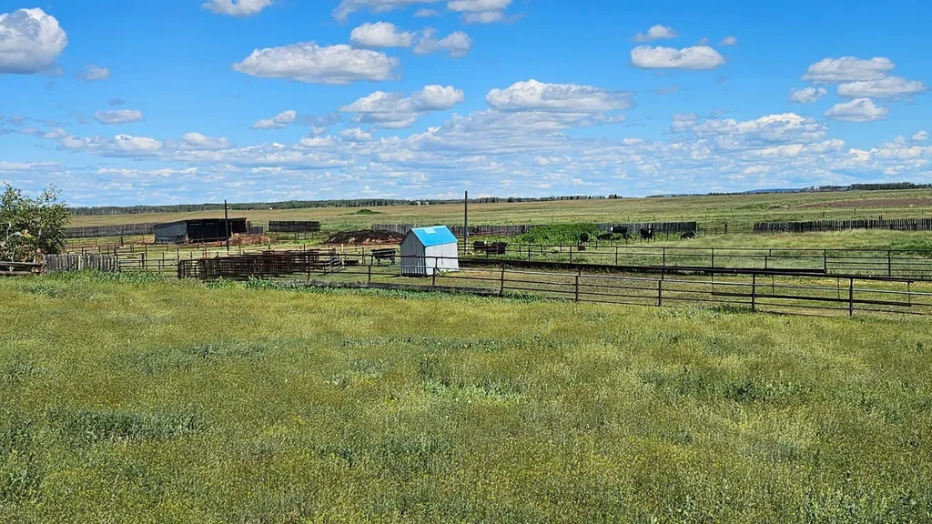 81154 124 Range Rural Saddle Hills County AB T0H 0A1