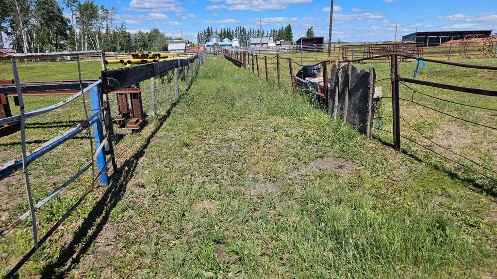 81154 124 Range Rural Saddle Hills County AB T0H 0A1