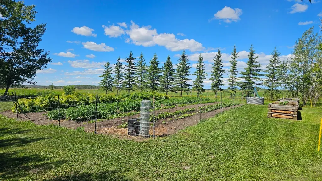 81154 124 Range Rural Saddle Hills County AB T0H 0A1