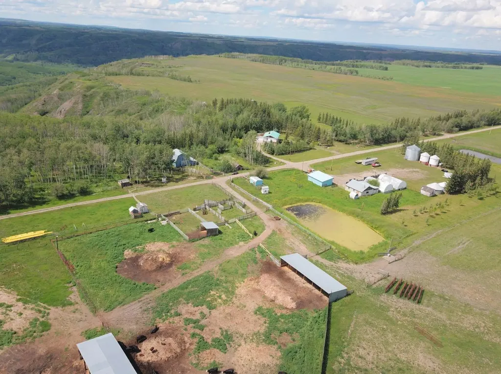 81154 124 Range Rural Saddle Hills County AB T0H 0A1