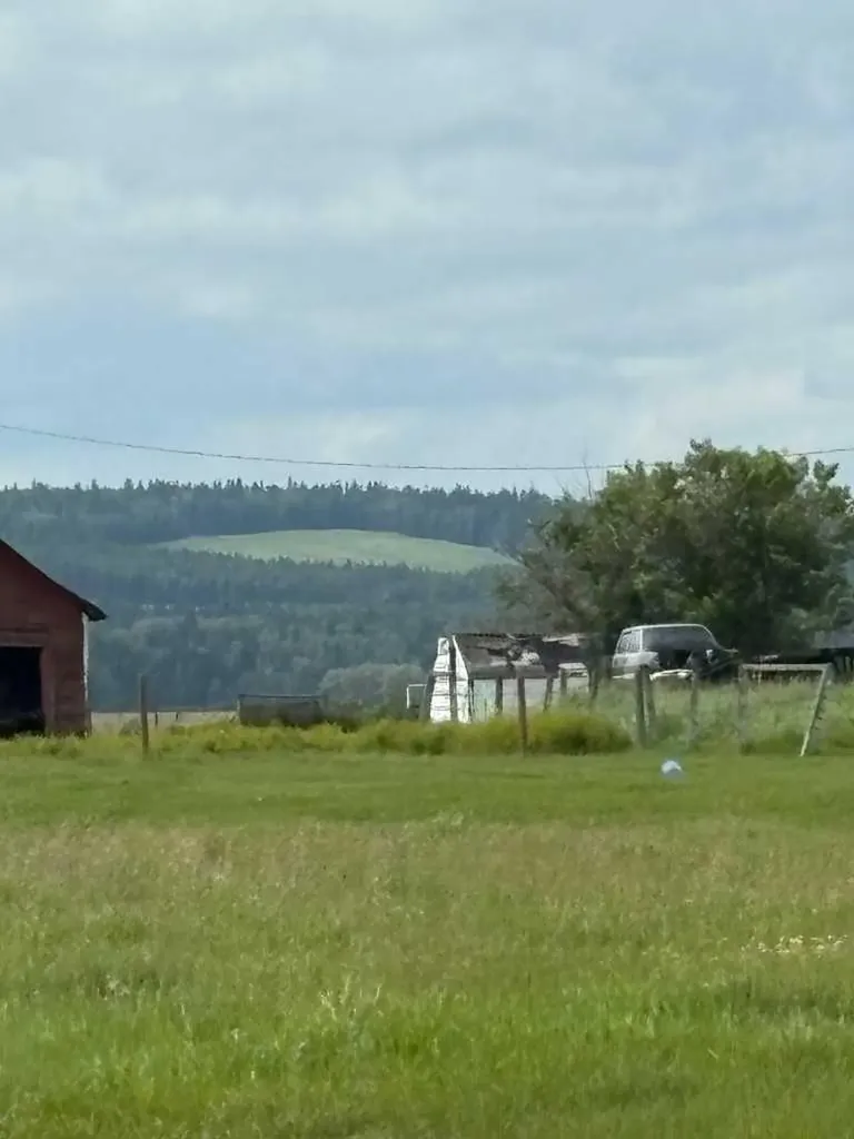 Range Road 62 Rural Mountain View County AB T0M 1X0
