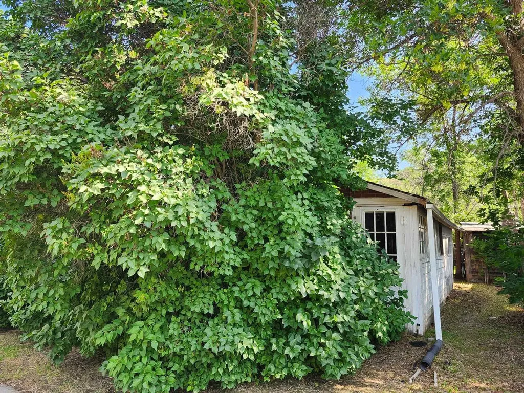 244 2 Avenue Drumheller AB T0J1B0