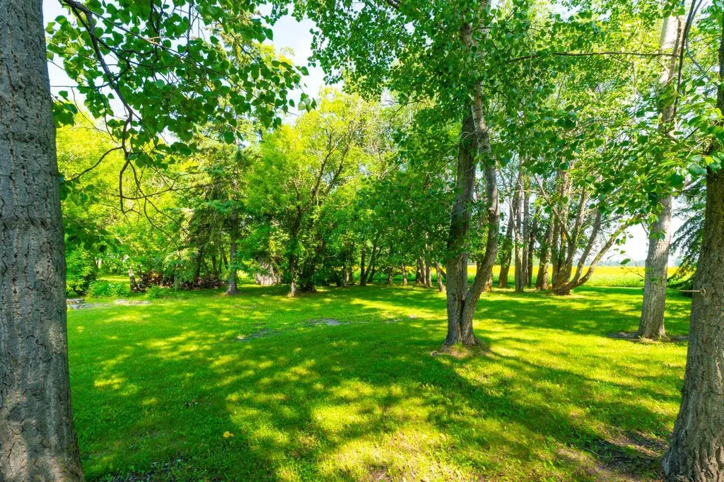 33141 Range Road 14 Rural Mountain View County AB T4H 4G5