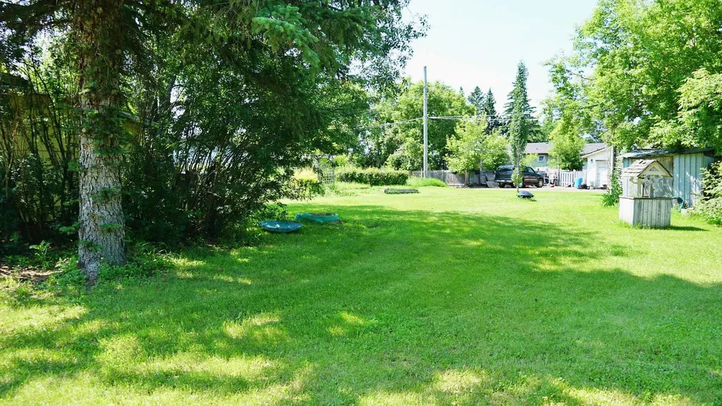 4716 49 Street Mannville AB T0B 2W0