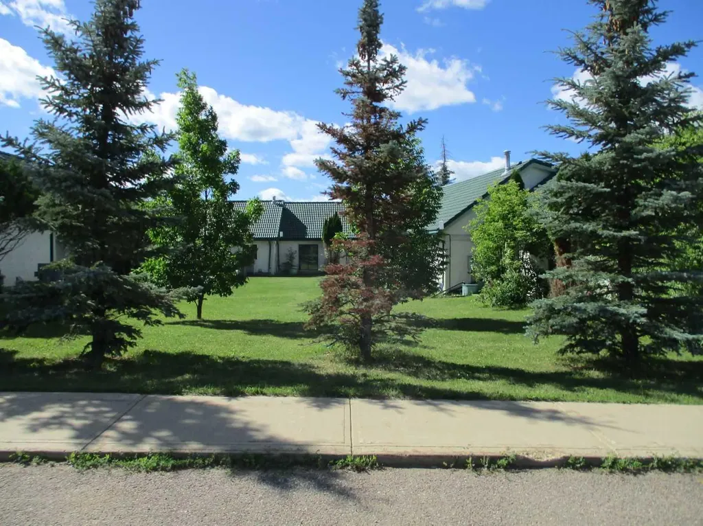 440 Main Street NE Manning AB T0H 2M0