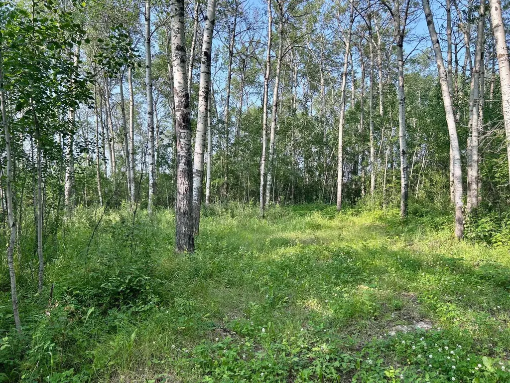 67325 Churchill Park Road Lac La Biche AB T0A2C1