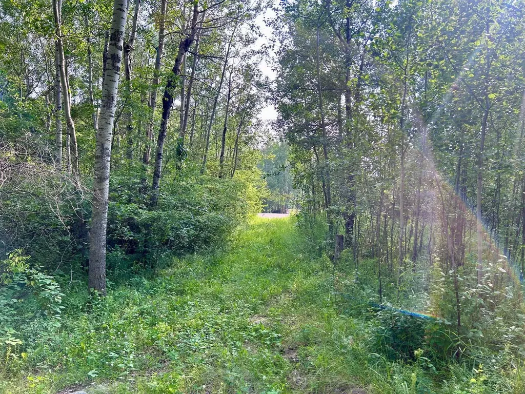 67325 Churchill Park Road Lac La Biche AB T0A2C1