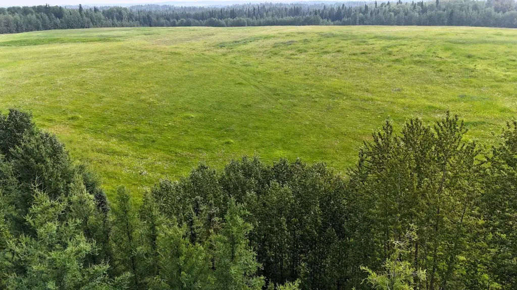 Twp Road 532a Range Road 181 Rural Yellowhead County AB T7E1V6