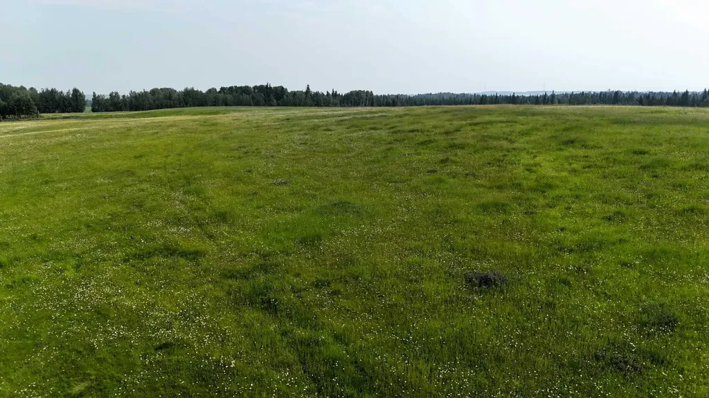 Twp Road 532a Range Road 181 Rural Yellowhead County AB T7E1V6
