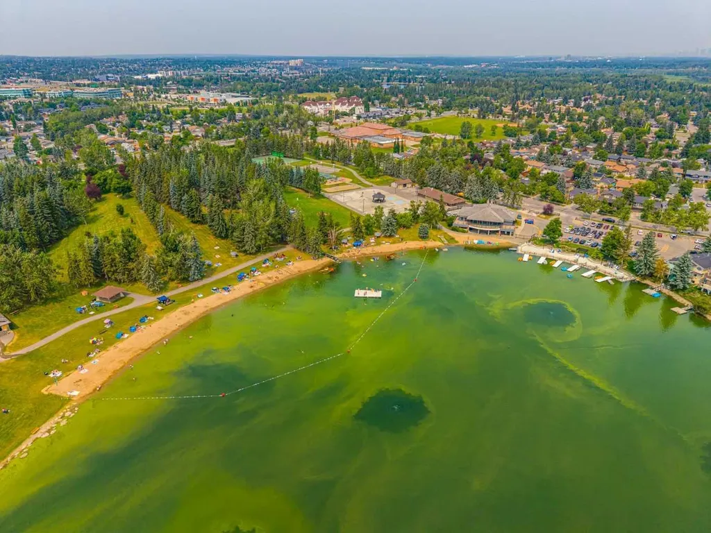 28 Sunlake Circle SE Calgary AB T2X 3J2