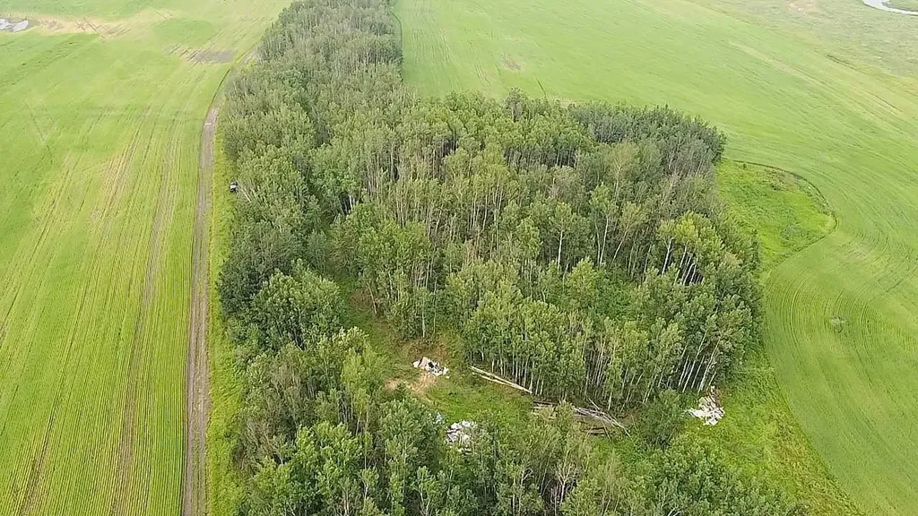 203068 Township Road 662 Rural Athabasca County AB T0A 0M0