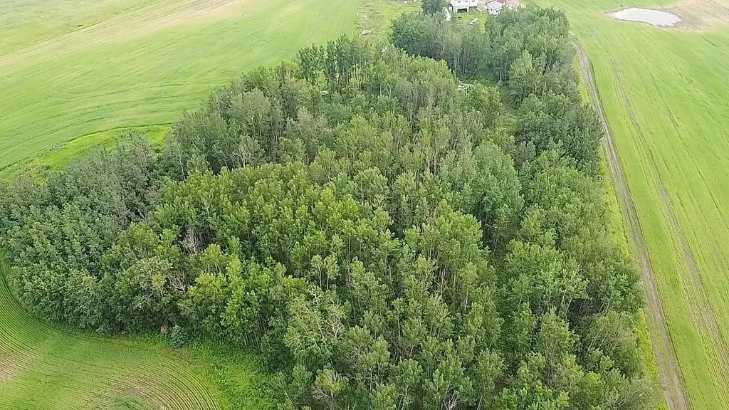 203068 Township Road 662 Rural Athabasca County AB T0A 0M0