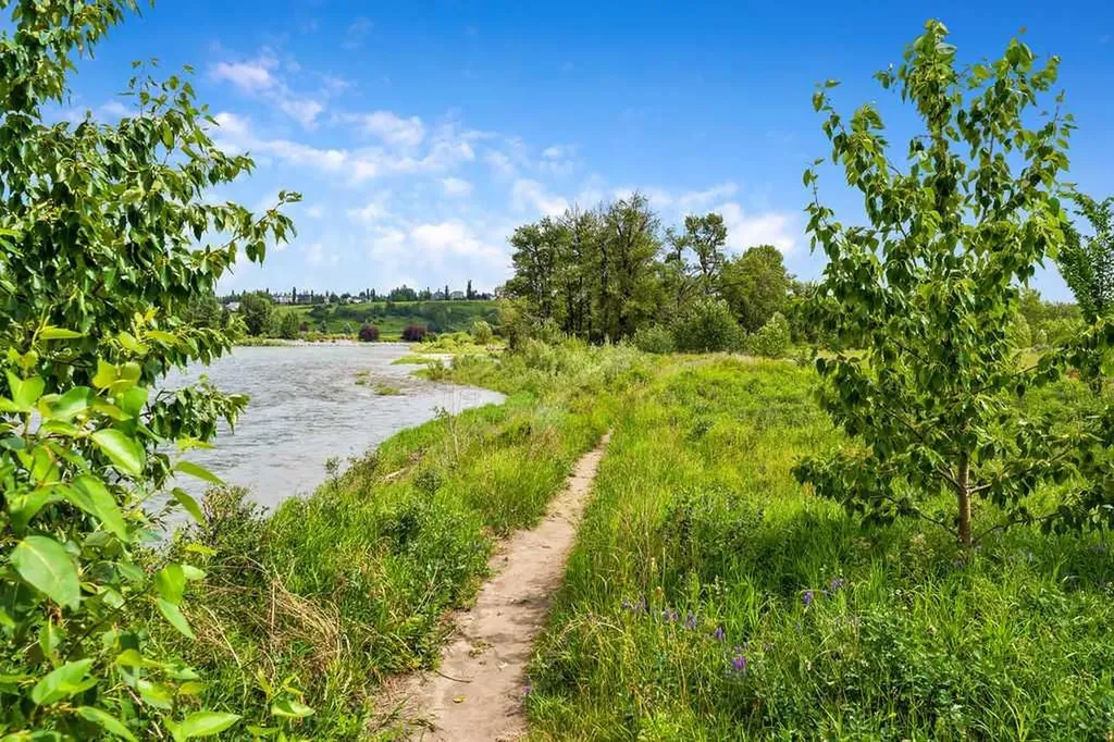 14736 Deerfield Drive SE Calgary AB T1J 5Y1