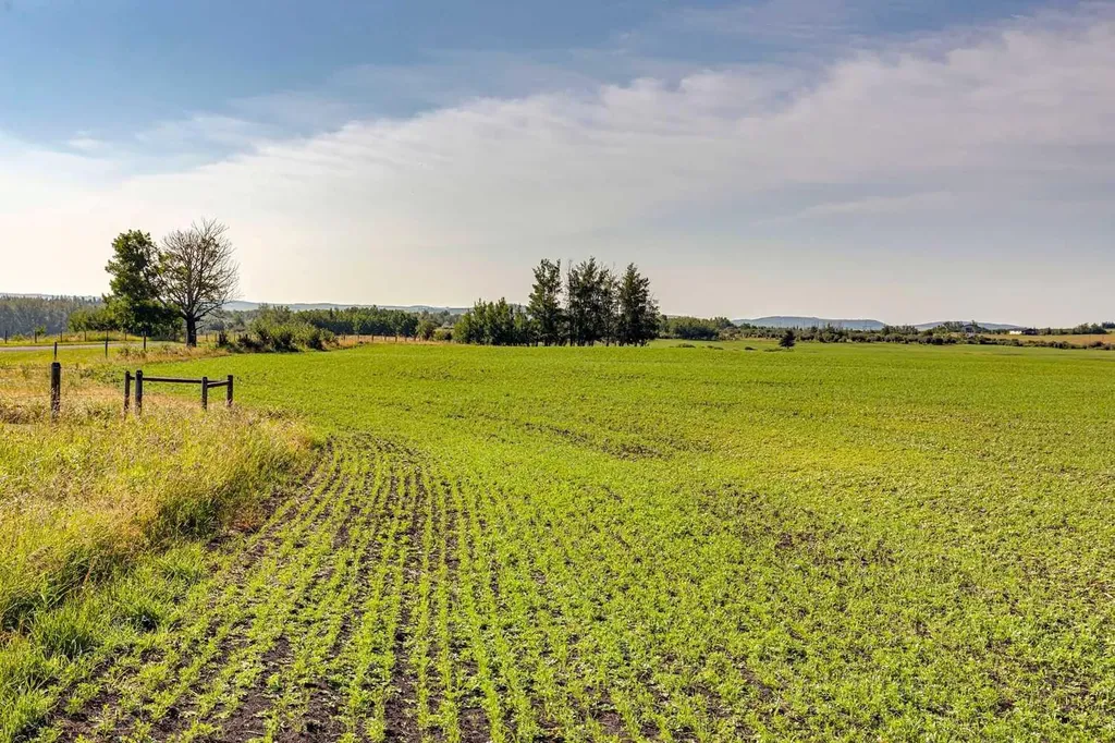 370 Avenue W Rural Foothills County AB T0L 0H0
