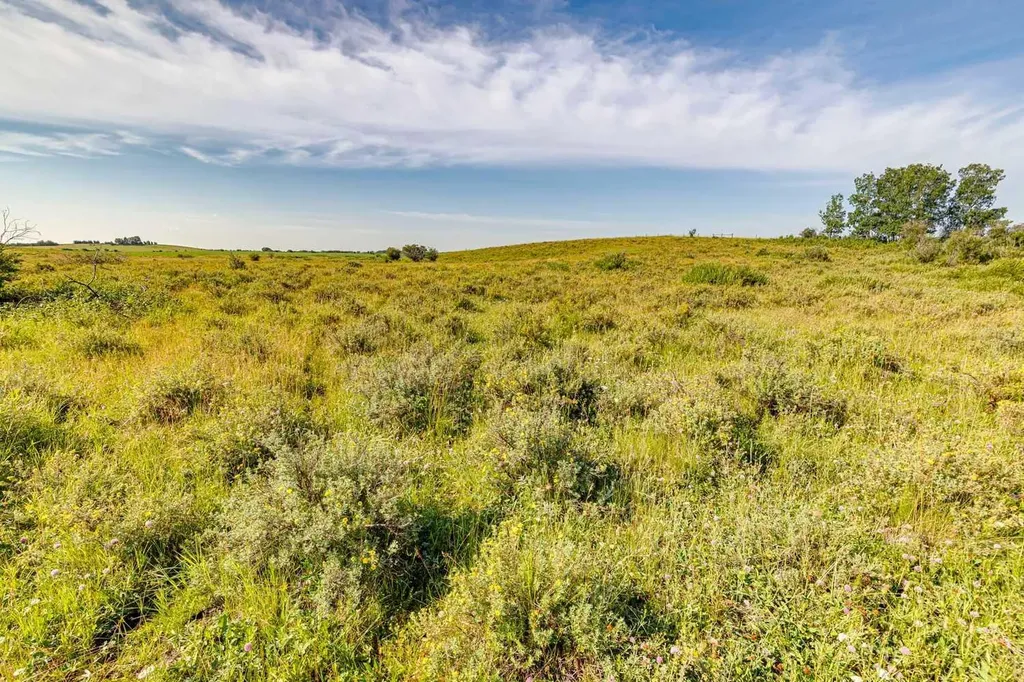 370 Avenue W Rural Foothills County AB T0L 0H0