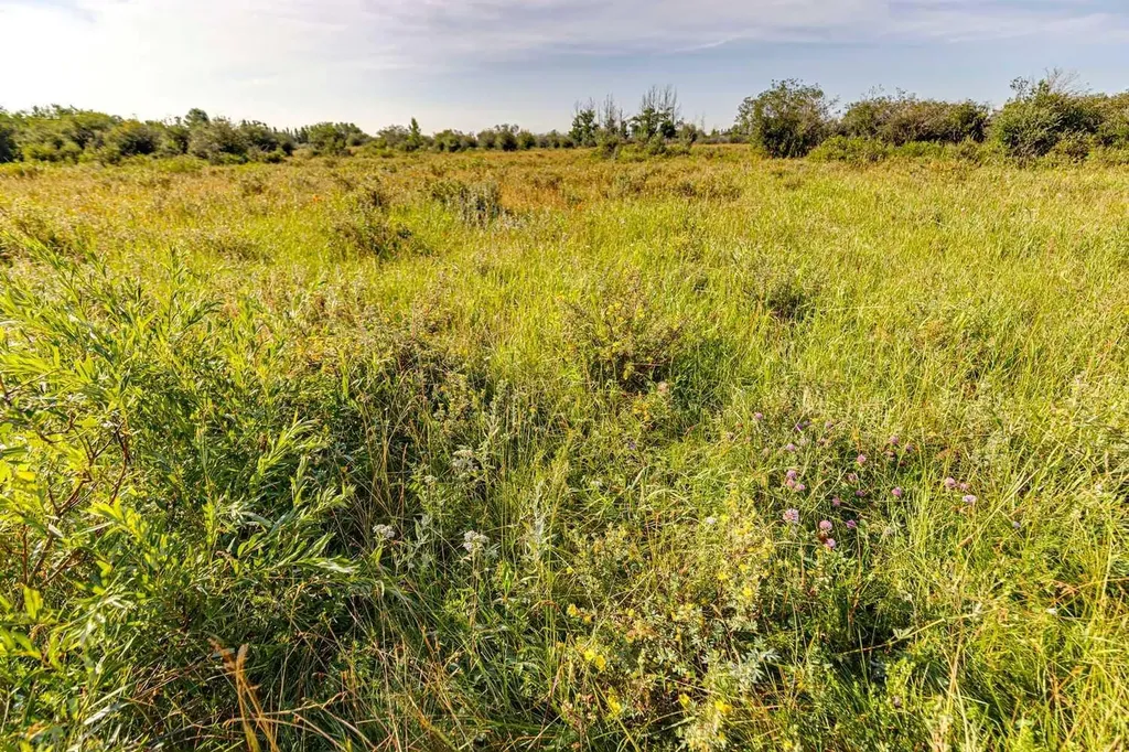370 Avenue W Rural Foothills County AB T0L 0H0