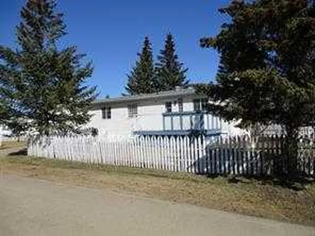 914 2b Street SE Manning AB T0H 2M0