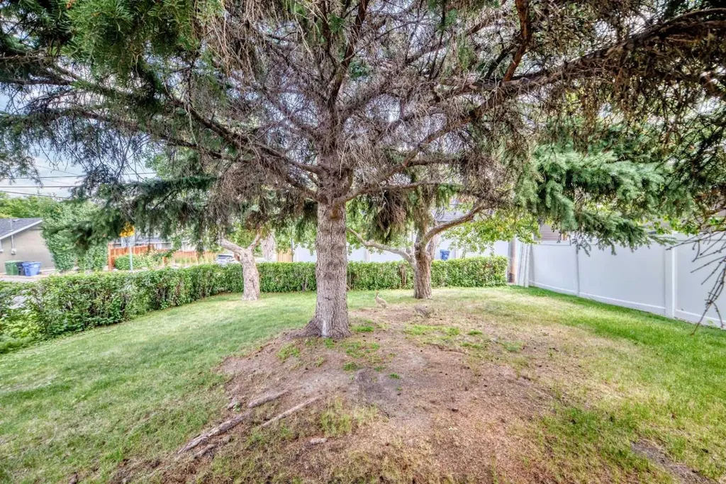 1735 38 Avenue SW Calgary AB T2T 2K3