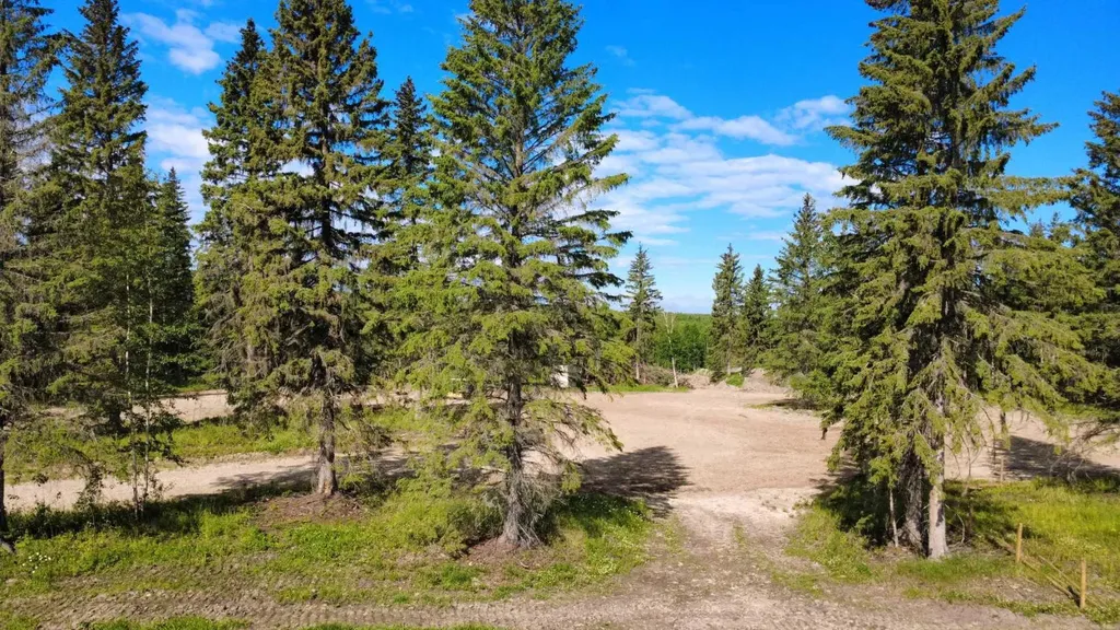 53122 Range Road 151 Rural Yellowhead County AB T7E 3C8