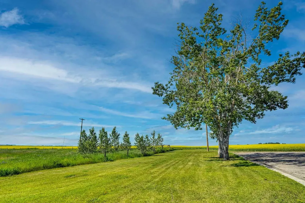 437 Mckinnon Drive Carseland AB T0J0M0