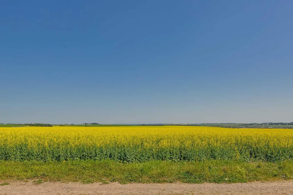 4646 58 Avenue Rimbey AB T0C 2J0