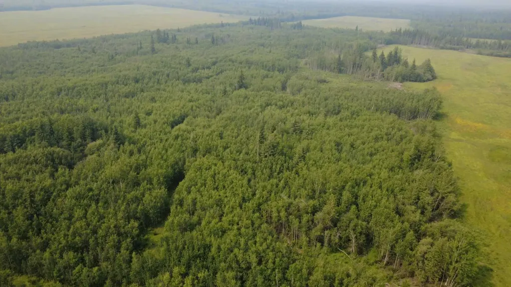 NE16-84-3-W6 Range Road 33 Rural Clear Hills County AB T0H 1L0