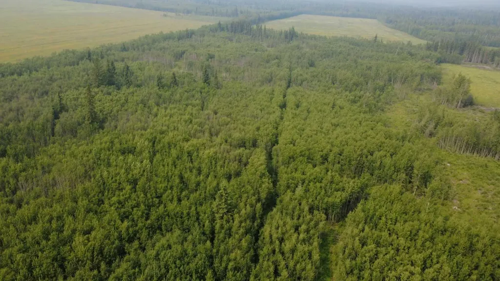 NE16-84-3-W6 Range Road 33 Rural Clear Hills County AB T0H 1L0