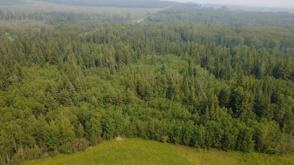NE16-84-3-W6 Range Road 33 Rural Clear Hills County AB T0H 1L0