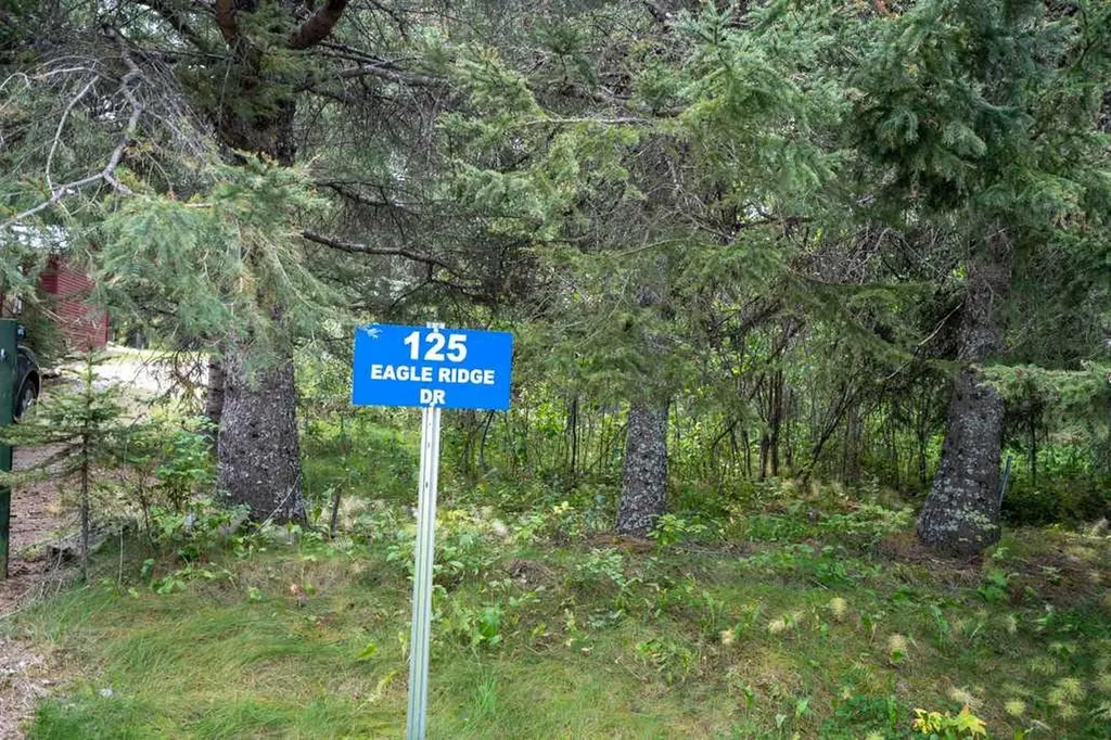 125 Eagle Ridge Drive Rural Clearwater County AB T0M 0M0