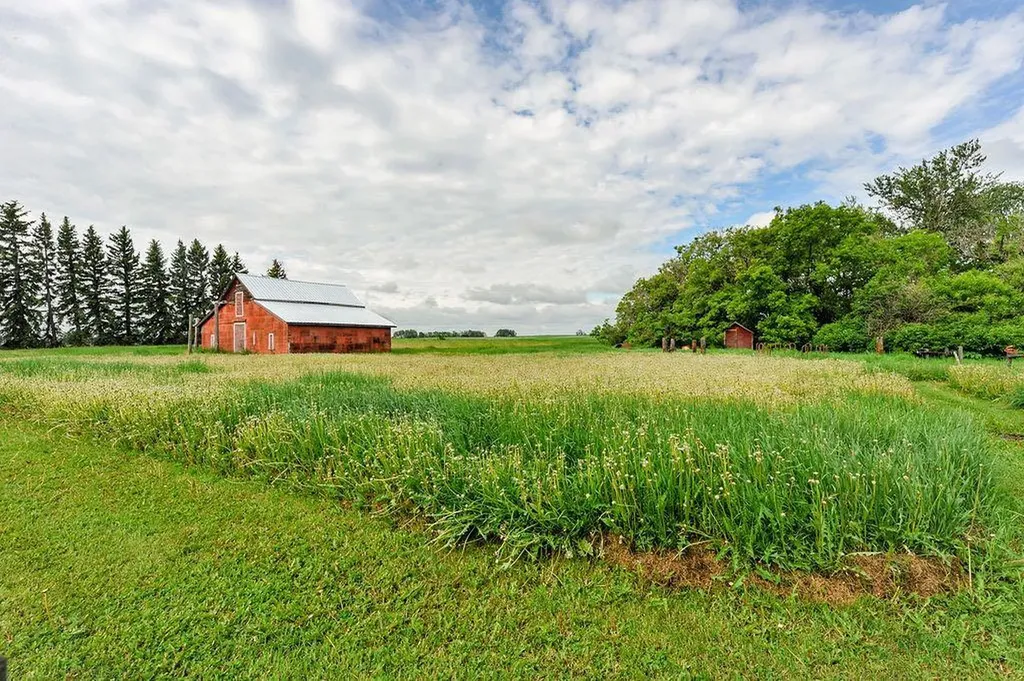 49320 Rr195 Rural Camrose County AB T0B 2M1