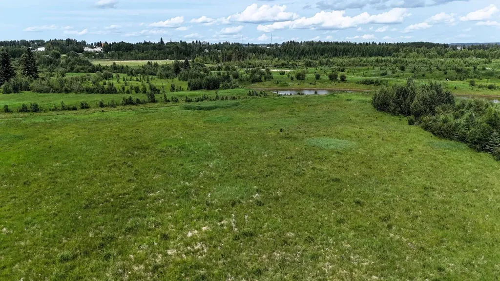 53126 Rge Road 174 Rural Yellowhead County AB T7E 3E6