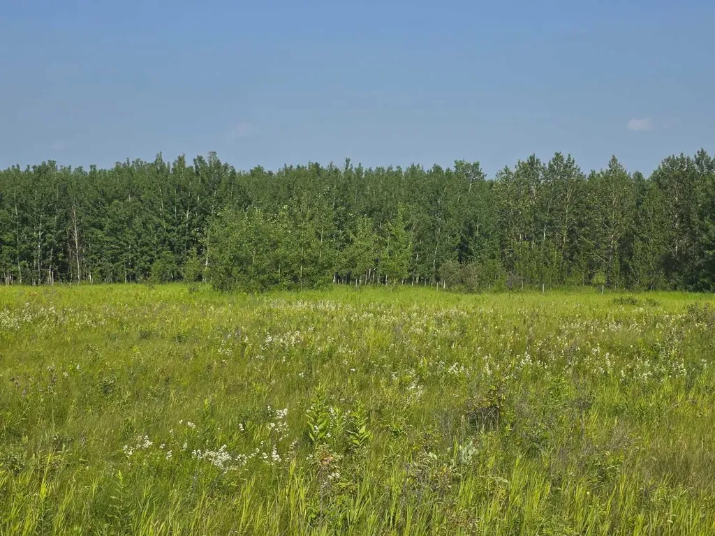 Lot 17 Wood Heights Road Rural Athabasca County AB T9S 0A8