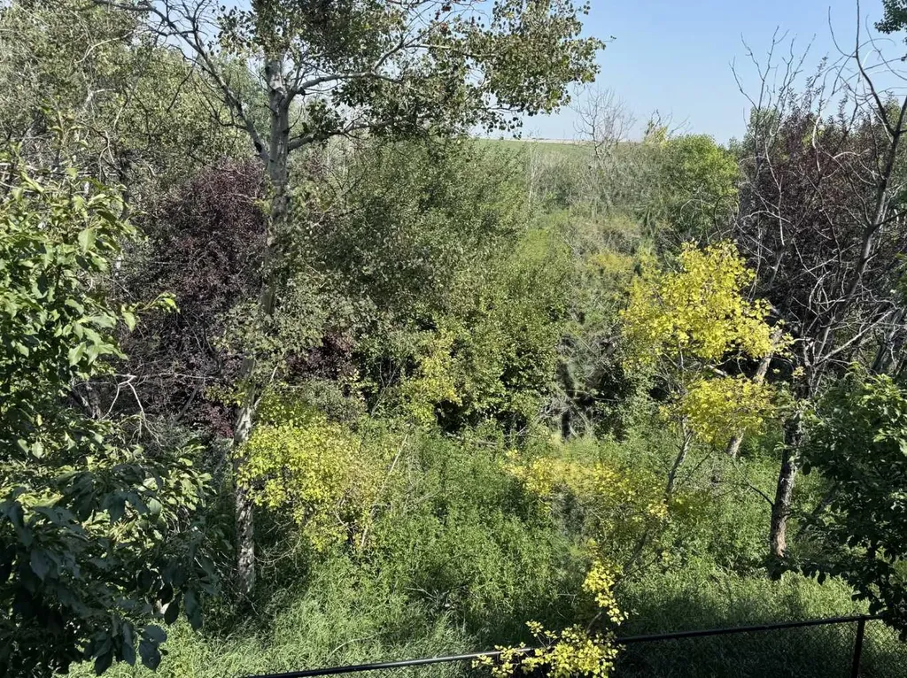 60 New Brighton Point SE Calgary AB T2Z1B9