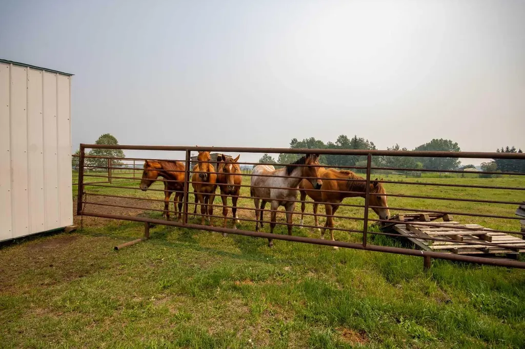 4351 Township Road 332 Rural Mountain View County AB T0M 1X0