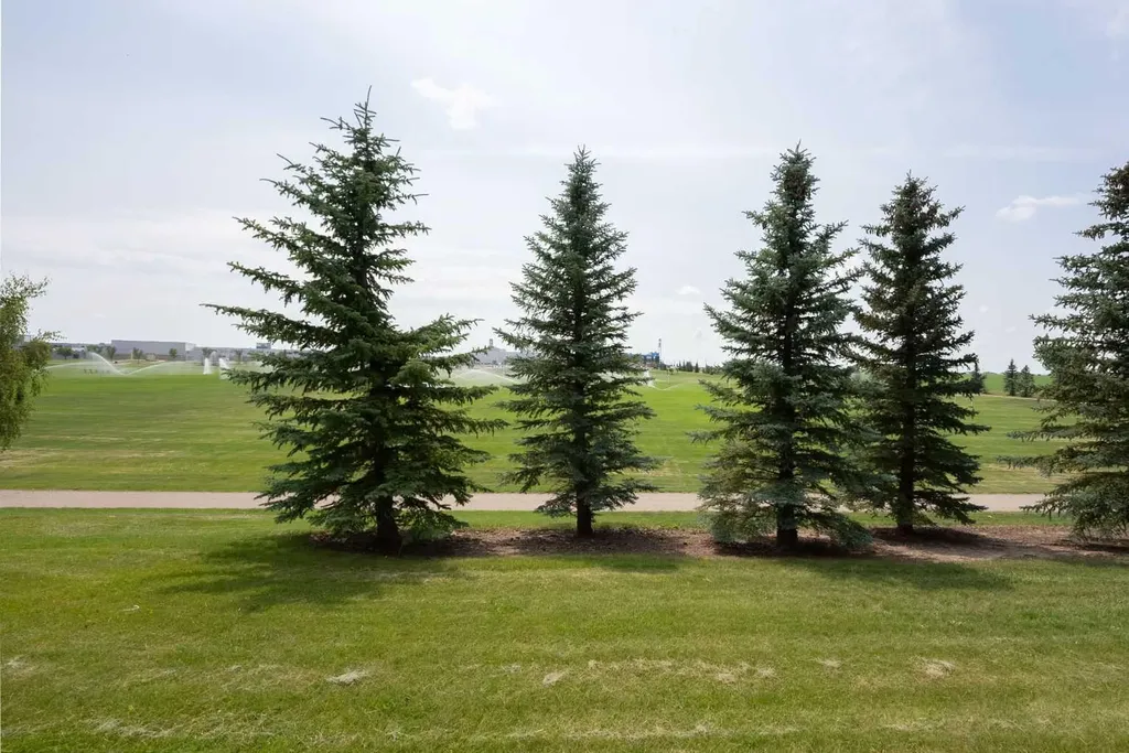 1060 Caledonia Place W Lethbridge AB T1J 5W1