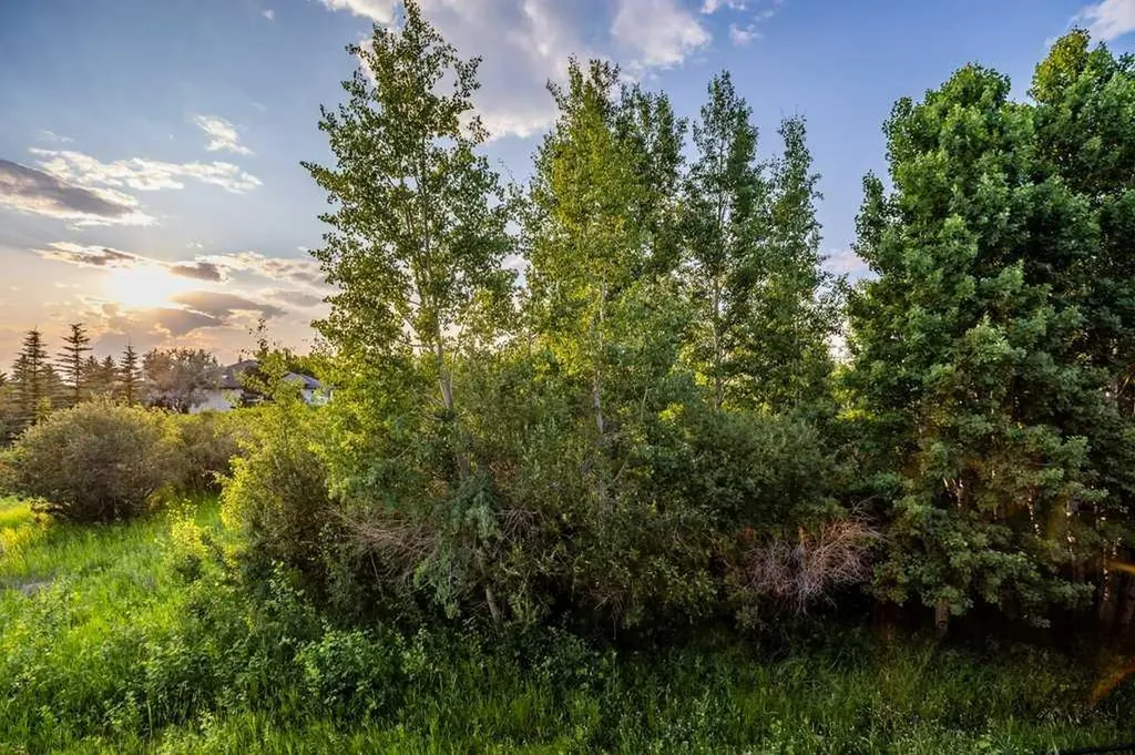61 River Heights View Cochrane AB T4C0E6