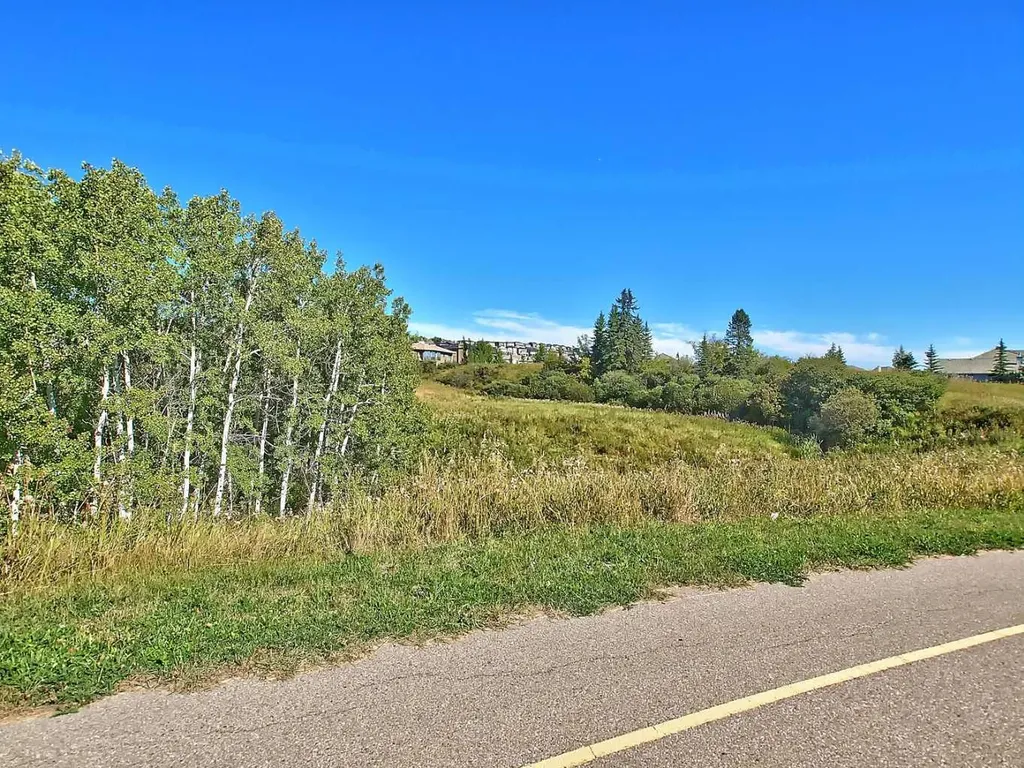 46 Spring View SW Calgary AB T3H 3S7
