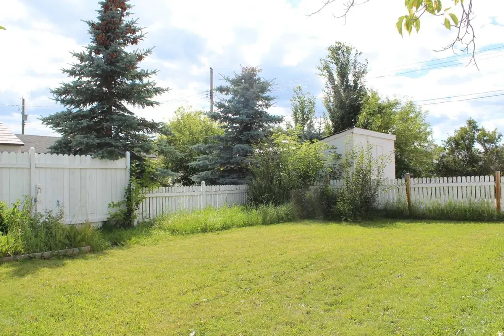 420 3rd Street NE Manning AB T0H 2M0