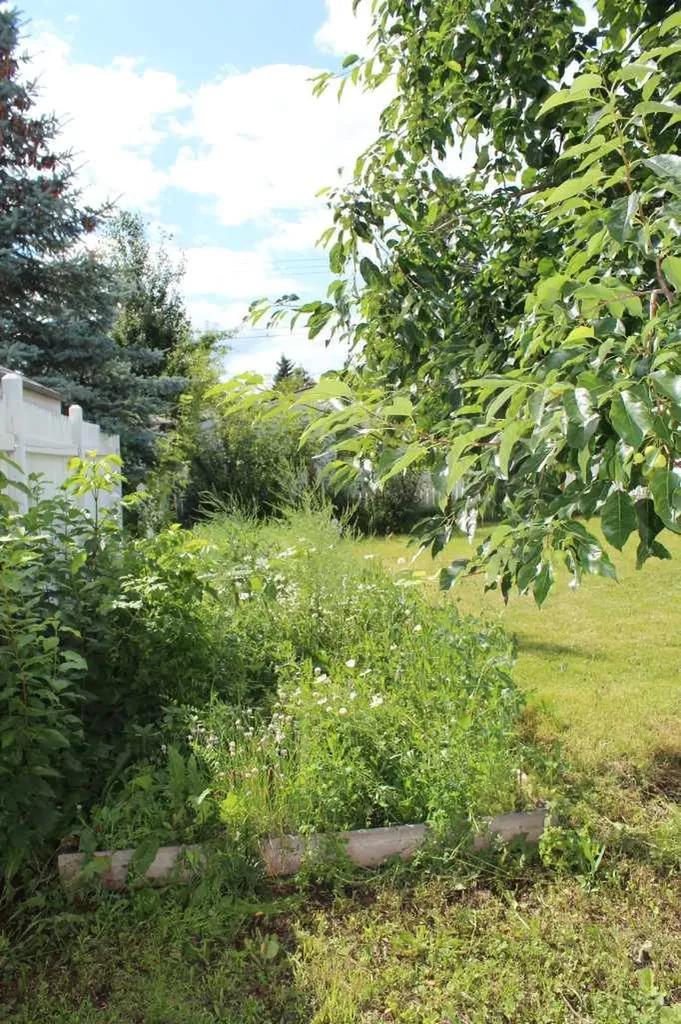 420 3rd Street NE Manning AB T0H 2M0
