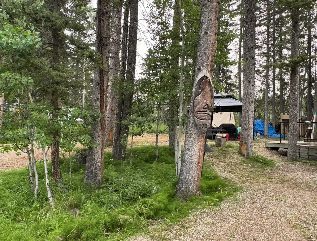5227 Township Road 320 Rural Mountain View County AB T0M1X0