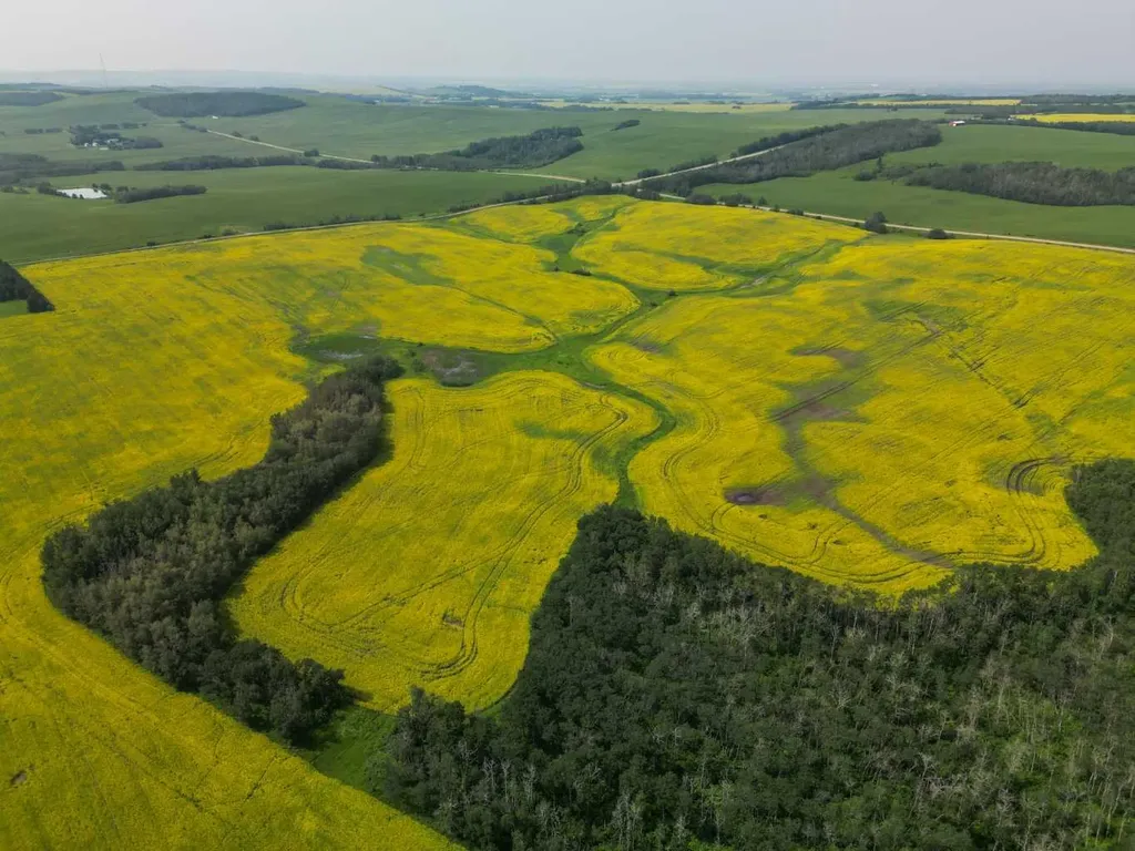 Range Road 263 Rural Red Deer County AB T4E 0Y8