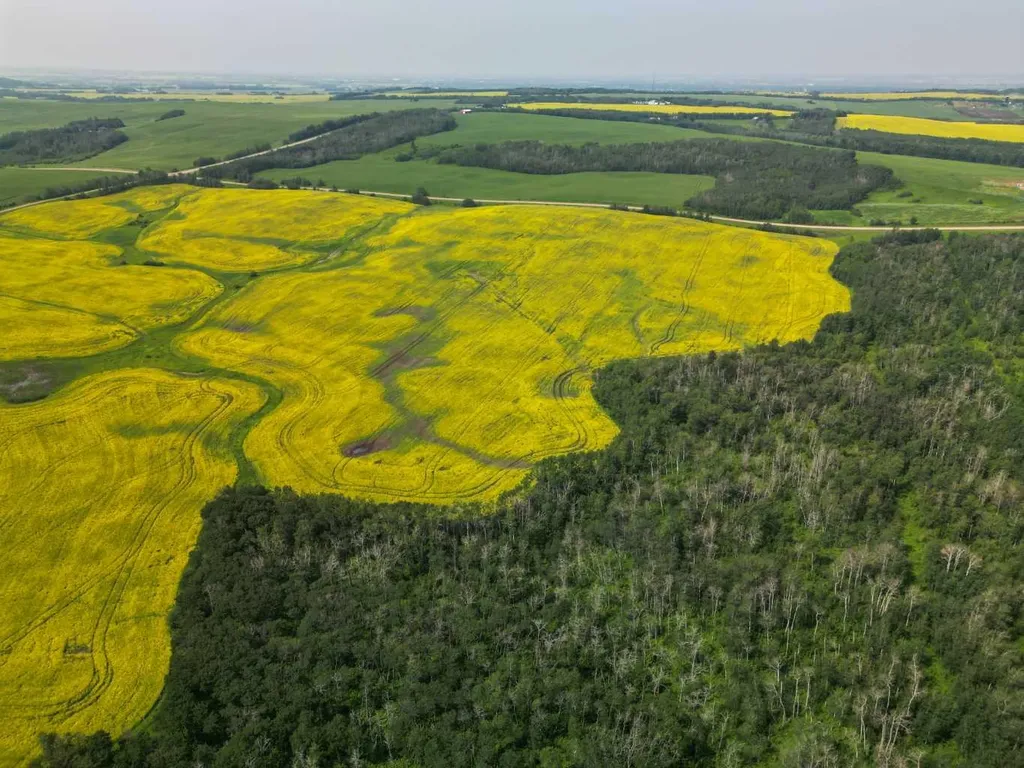Range Road 263 Rural Red Deer County AB T4E 0Y8