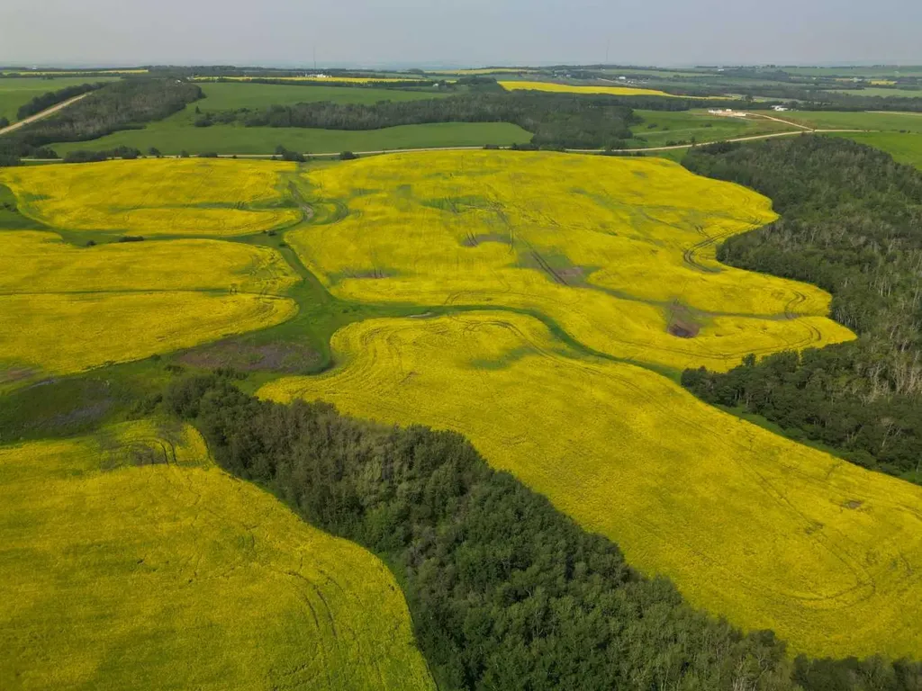 Range Road 263 Rural Red Deer County AB T4E 0Y8