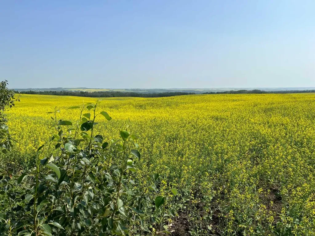 Range Road 263 Rural Red Deer County AB T4E 0Y8